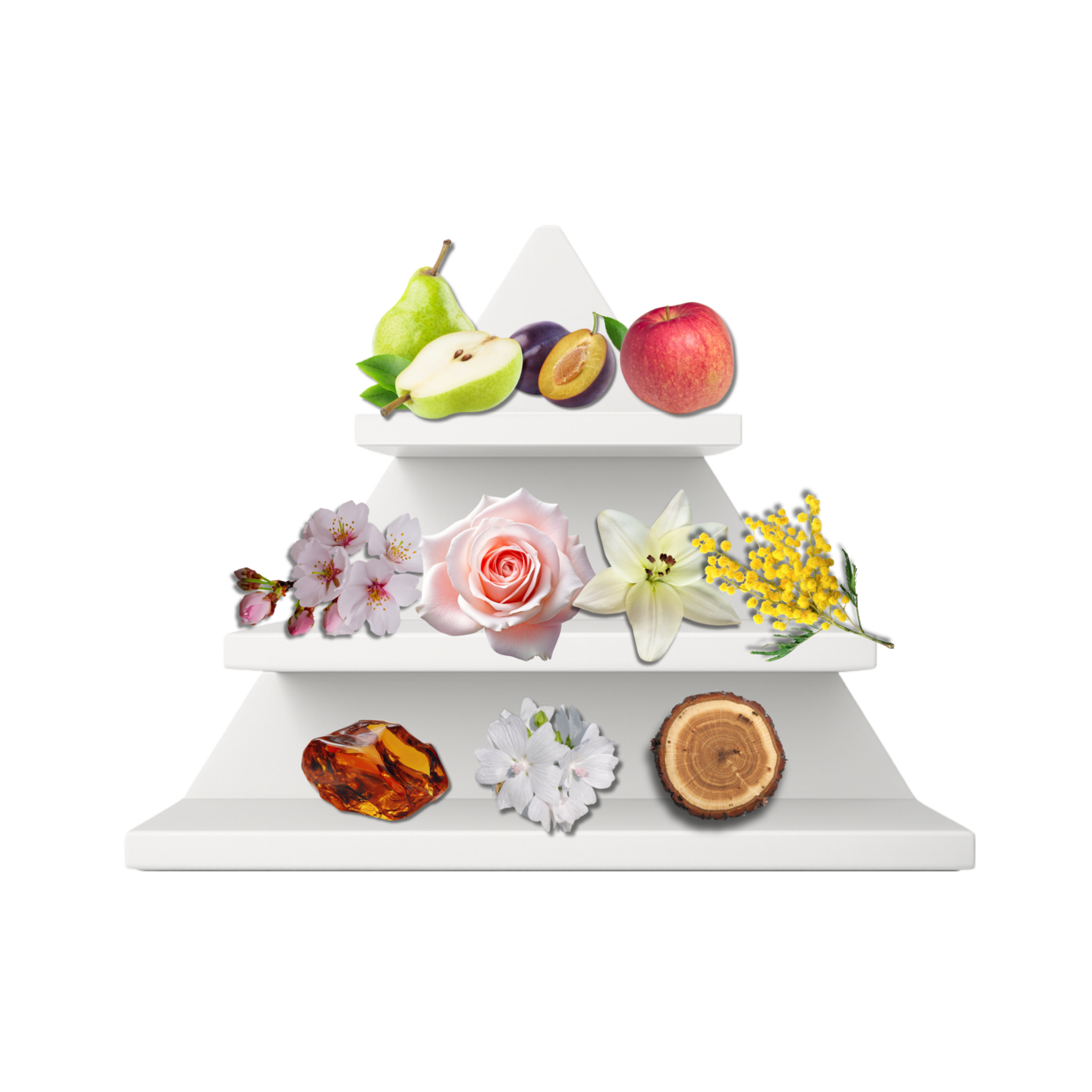 Bukhara Whisper Duftpyramide